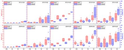 Solar Radiation Effects on Dry Matter Accumulations and Transfer in Maize